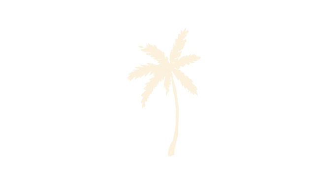 Palmera melón
