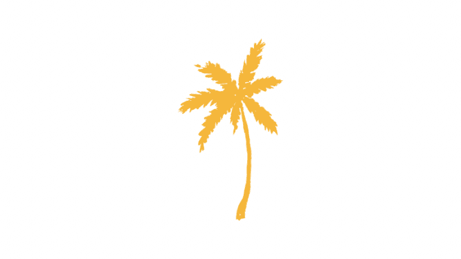 Palmera sol