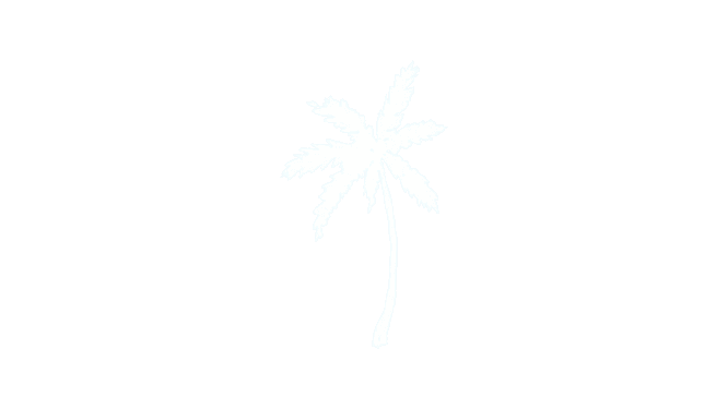 Palmera original